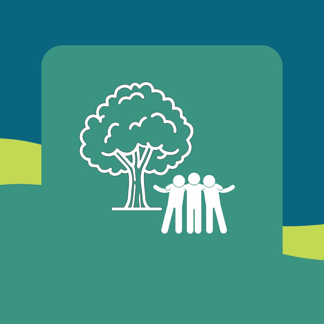 Sozialkompetenz im Wald – Lernen in und von der Natur